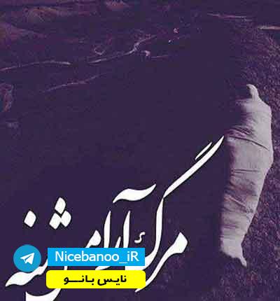 رمان نابودگری از نسل باد