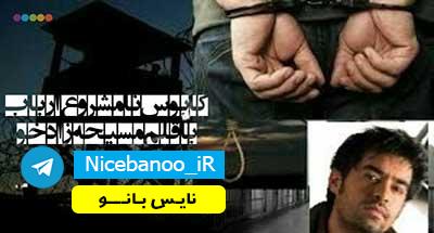 رمان کابوس‌ نامشروع‌ ارباب از مسیحه زادخو