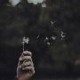 دانلود-رمان-های-عاشقانه