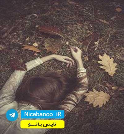 رمان سفر در زمان عاشقی از نازنین عباسی