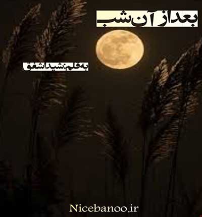رمان بعد از آن شب