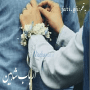 ارباب-شاهین