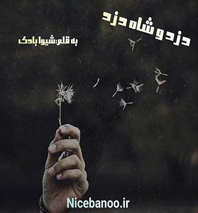 شیوا-بادی