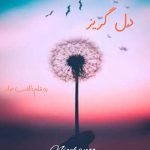 دل-گریز