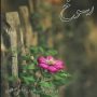مهشید-حاجی-زاده