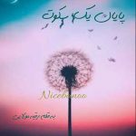 پایان-یک-سکوت