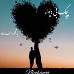 پیچک