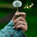 رمان طومار از زهرا ارجمندنیا