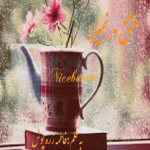 رمان عشق در نمیزنه از فاطمه زره پوش