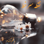 رمان نقطه سر خط از گندم(نرگس م)