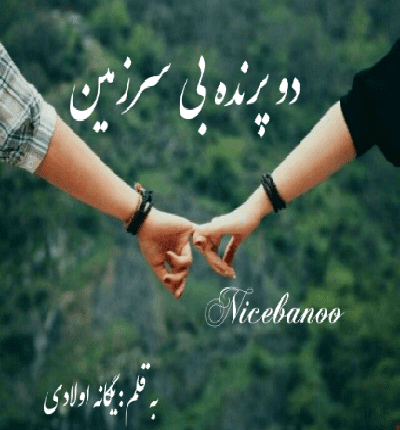 رمان دو پرنده بی سرزمين از یگانه اولادی