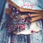 رمان کمپ تابستانی از آندرا