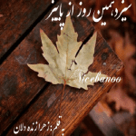 رمان سیزدهمین روز از پاییز از زهرا زنده دلان