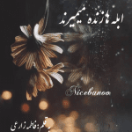 رمان ابله ها زنده میمیرند از فاطمه زارعی