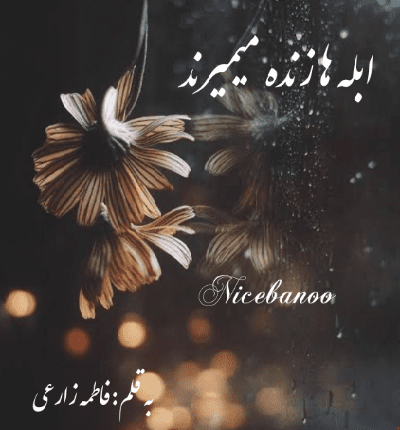 رمان ابله ها زنده میمیرند از فاطمه زارعی