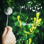 رمان دنیای نا آرام از مهدخت مرادی