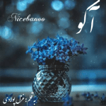 رمان آکو از غزل پولادی