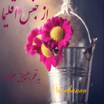 رمان از جنس اقلیما از شقایق علیزاده