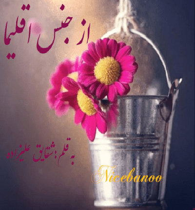 رمان از جنس اقلیما از شقایق علیزاده