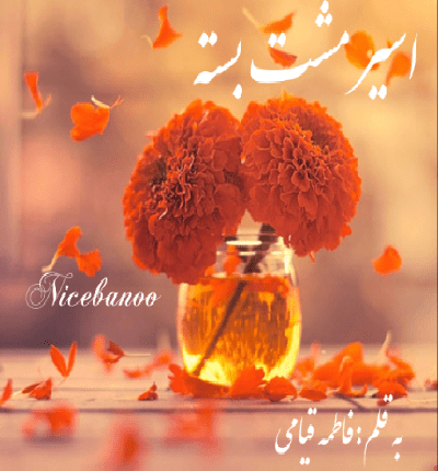 رمان اسیر مشت بسته از فاطمه قیامی