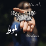 رمان بلوط از راز. س