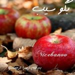 رمان بگو سیب از زهرا ارجمندنیا