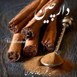 رمان دارچین از ریحانه کیامری