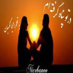رمان در تو پناه گرفته ام از محیا نگهبان