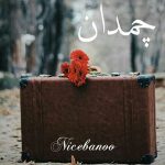رمان چمدان 