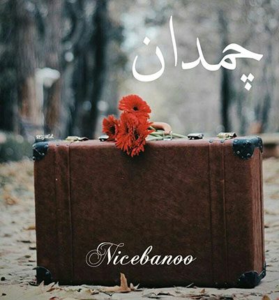 رمان چمدان 