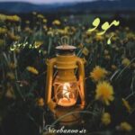رمان هوو از بهاره موسوی