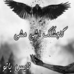 گمجشکک اشی مشی