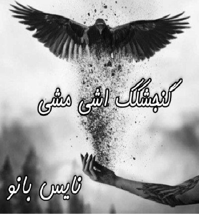 گمجشکک اشی مشی