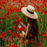 شاهدخت پنهان