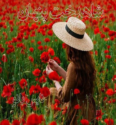 شاهدخت پنهان