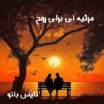 رمان مرثیه ای برای روح از صدی