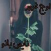 اوج غرور