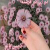 دو زن دو فرشته