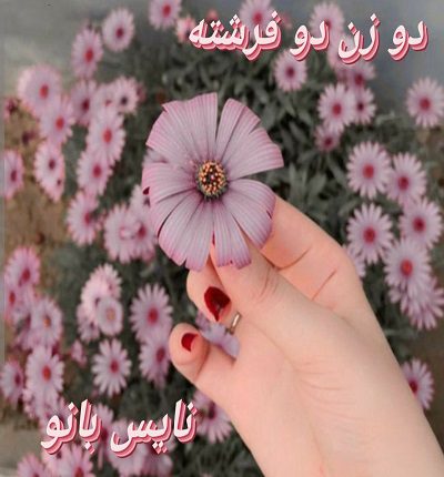 دو زن دو فرشته