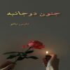 جنون دو جانبه