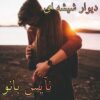 دیوار شیشه ای
