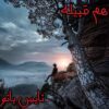 هم قبیله