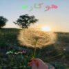 هوکاره