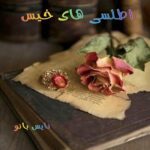 اطلسی های خیس