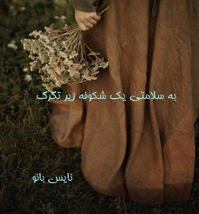 به سلامتی یک شکوفه زیر تگرگ