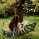 بی پر پروانه شو