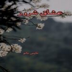 عشاق شرور