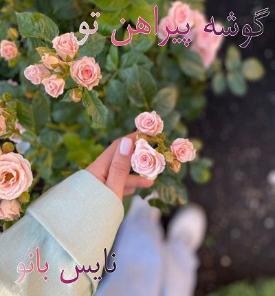 گوشه پیراهن تو