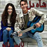 رمان شاه دل از سارا هاشمی