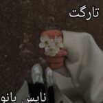 تارگت